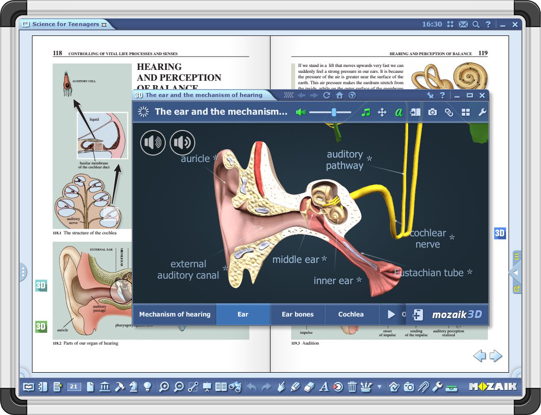 The power of 3D in education