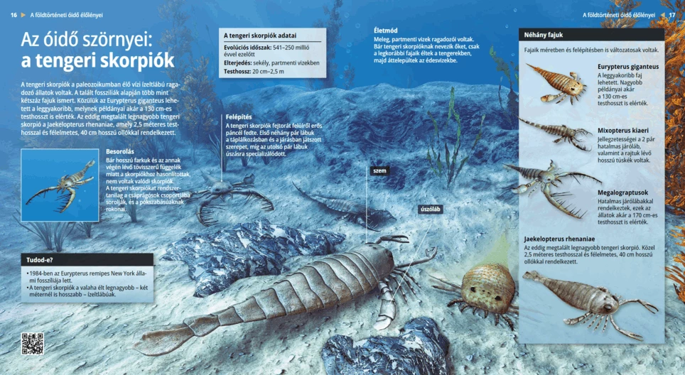 العقارب البحرية