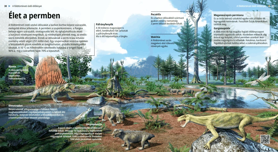 الحياة في العصر البرمي