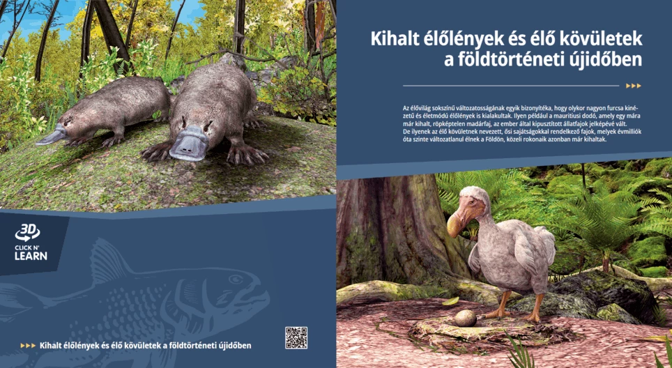 األنواع المنقرضة و الحفريات الحية في عصر حقب الحياة الحديثة