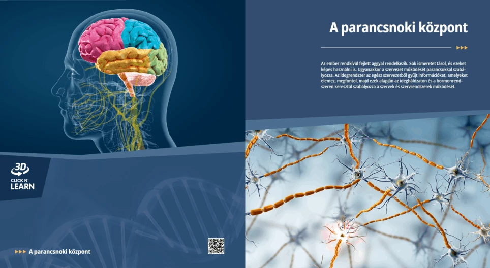 مركز القيادة