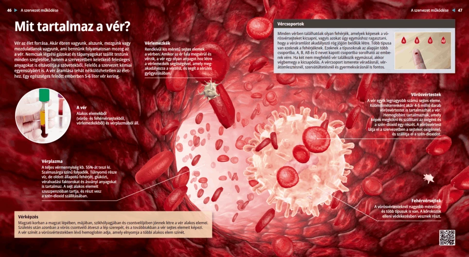 ماذا يحتوي الدم؟