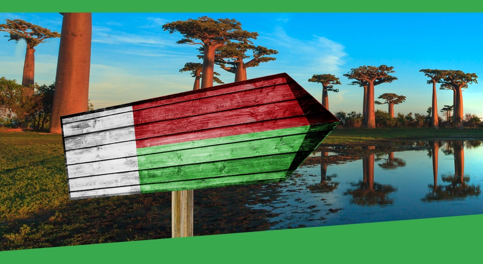 دعنا نسافر إلى مدغشقر