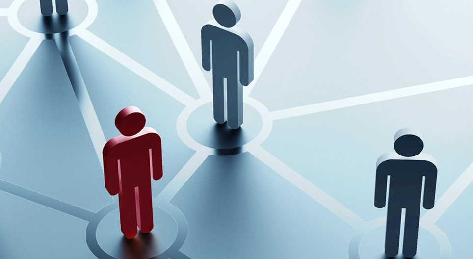 إلى أي شبكة تنتمي؟