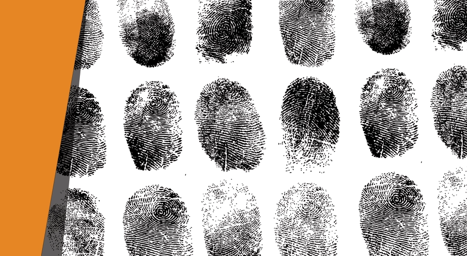 من كان الجاني؟