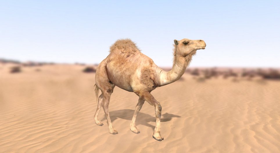 mozaik3D/BIO/allat/dromedar/960.jpg