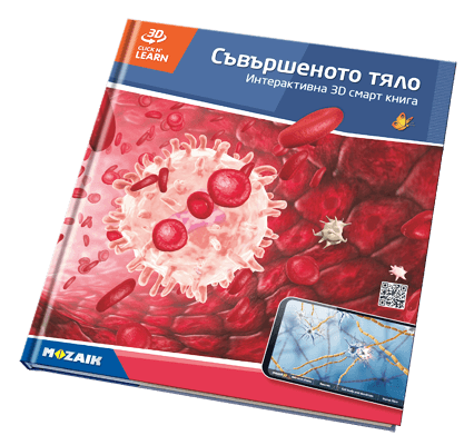 Book MS-6409-BG