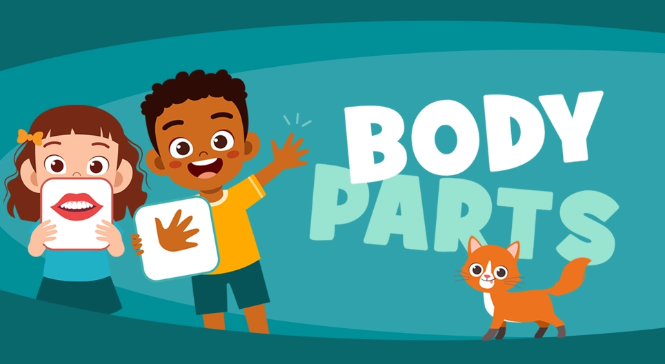 Body Parts