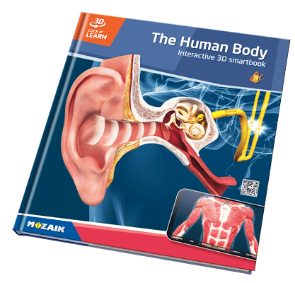 20권으로 된 시리즈, 800 개의 3D 장면 포함