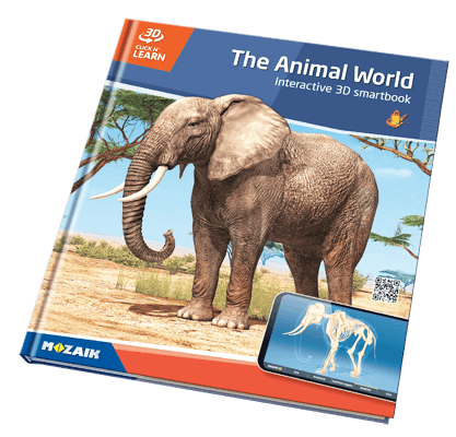 20권으로 된 시리즈, 800 개의 3D 장면 포함