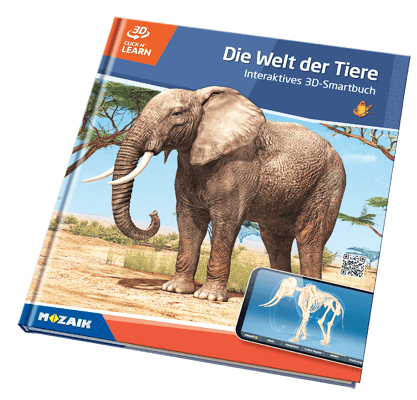 Book MS-6413-DE