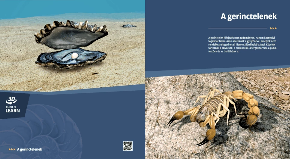 Die wirbellosen Tiere
