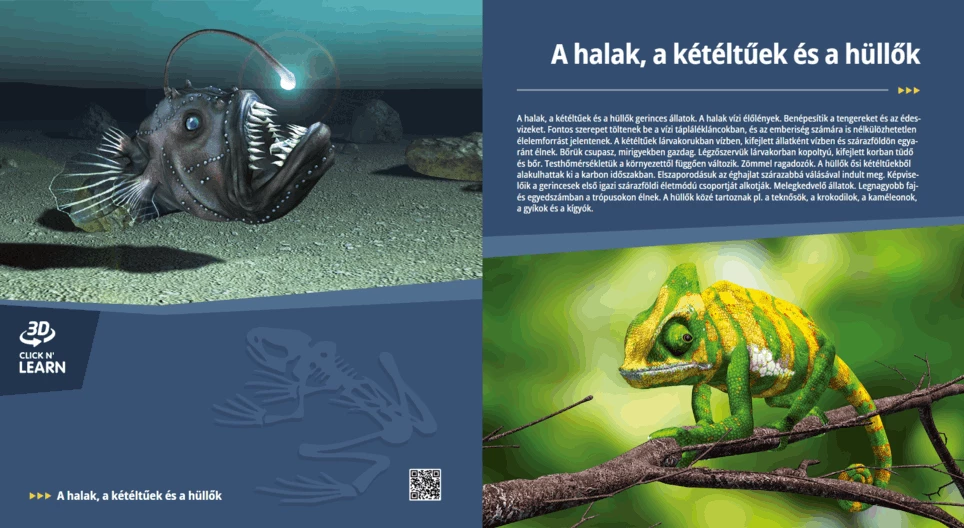 Die Fische, Amphibien und Reptilien