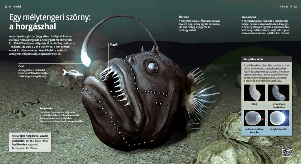 Der Seeteufel: Monster der Tiefsee