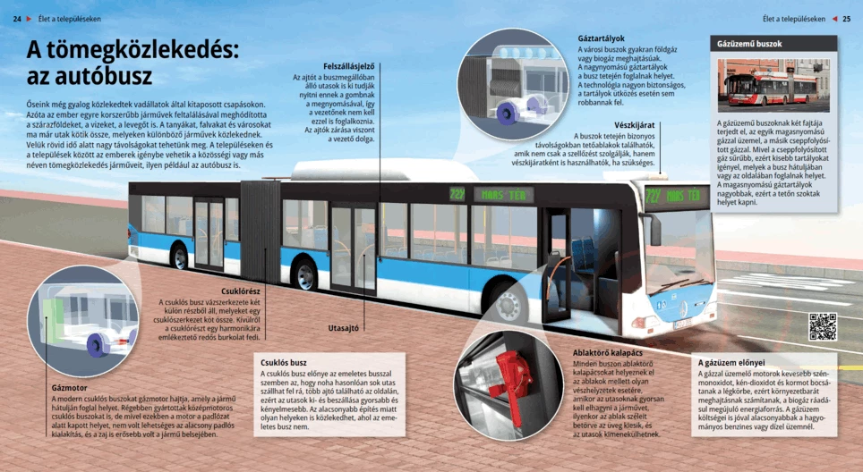 Öffentliche Verkehrsmittel: Der Bus