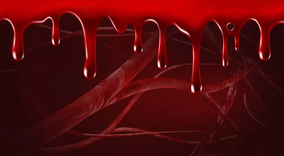 Das Blut