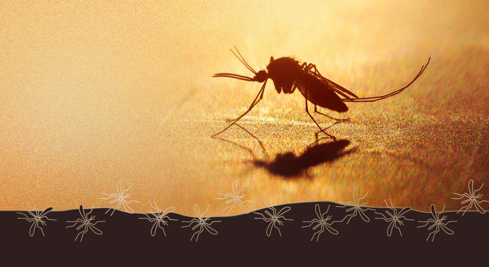 Die Malaria