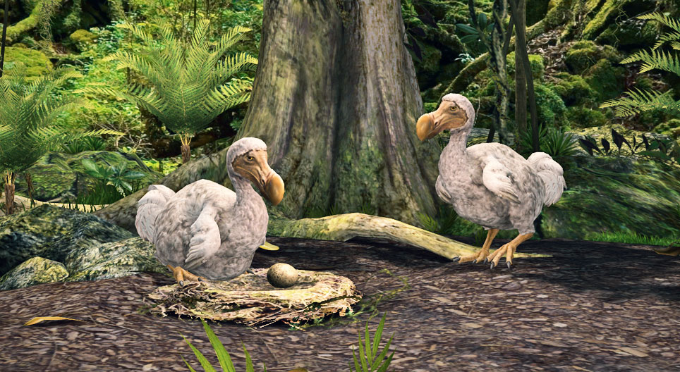 Der Dodo