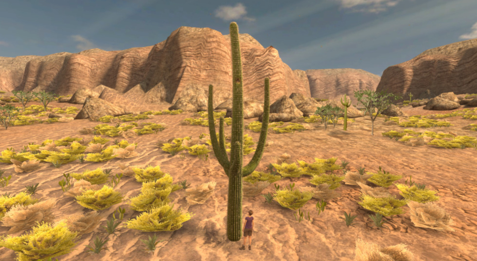 Saguaro cactus