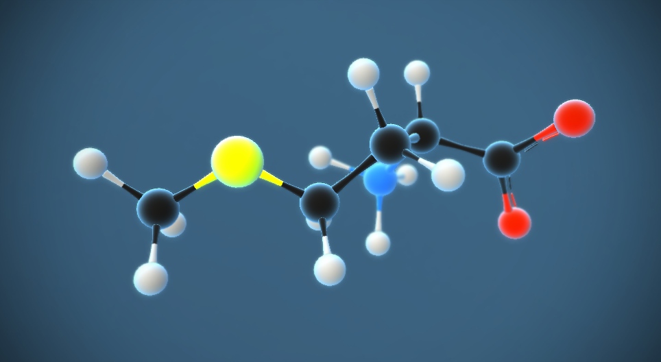 Das Methionin