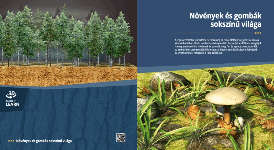 The Diverse World of Plants and Fungi