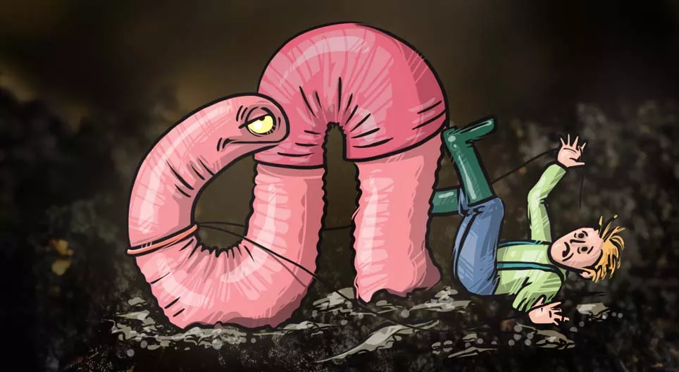 How to be an earthworm farmer