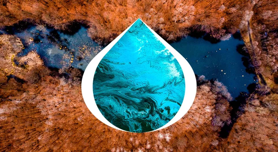 The development of lakes