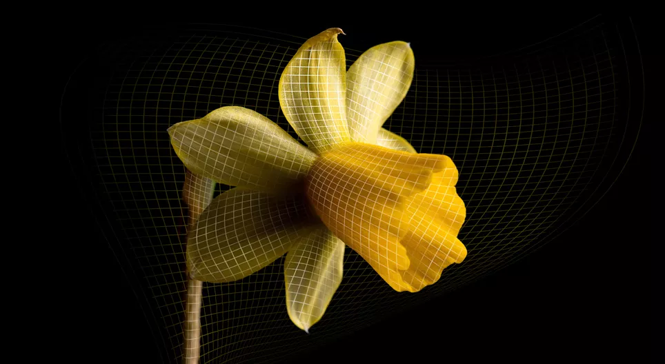 The secrets of the expanding Universe