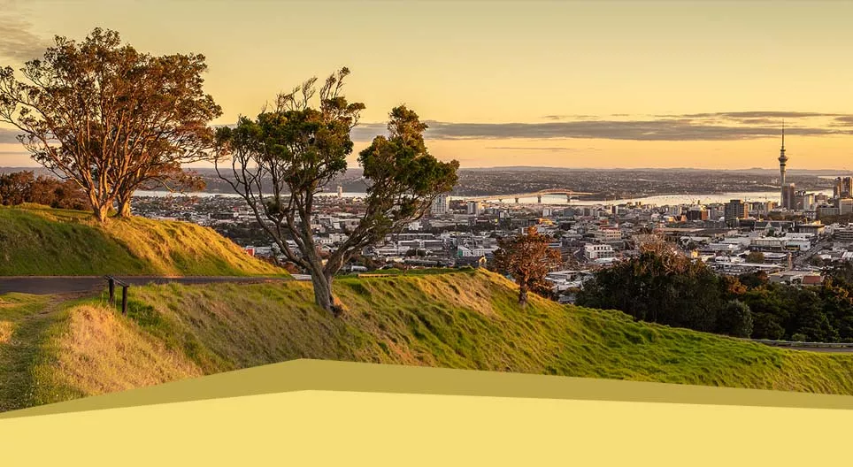 What makes a city livable?