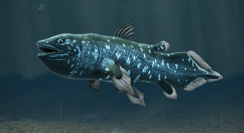 West Indian Ocean coelacanth