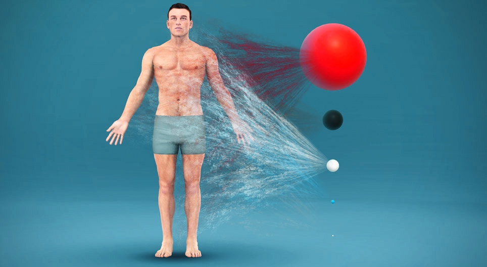 What is the human body composed of?