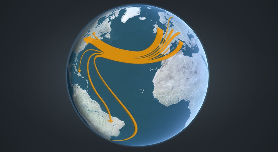 The history of human migration