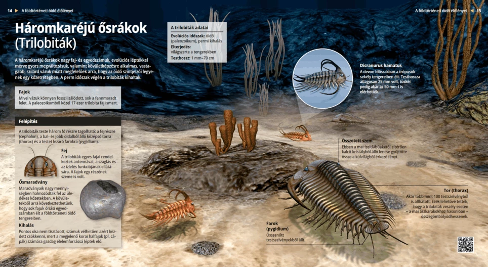 Los trilobites