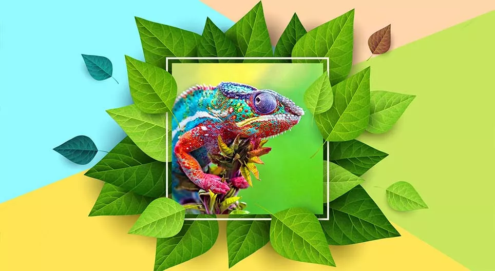 Cambios de color en la naturaleza