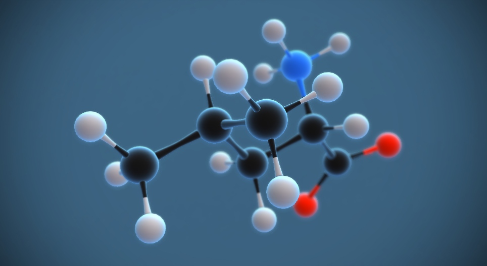 Leucin