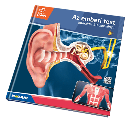 Book MS-6404-HU
