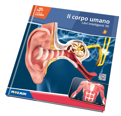 Book MS-6404-IT