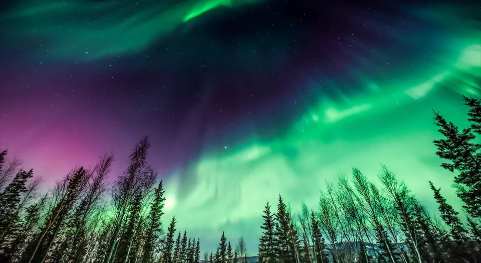 Andiamo a vedere l'aurora polare