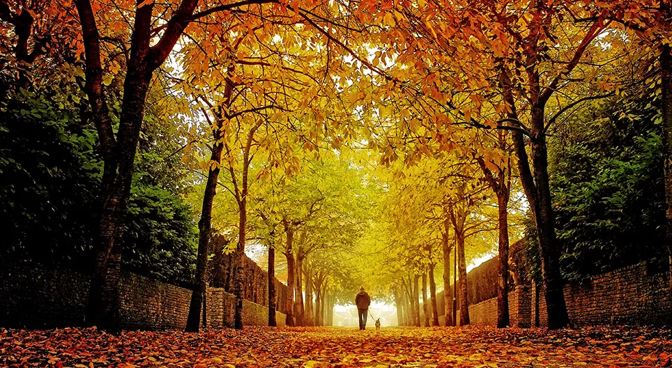 Autunno