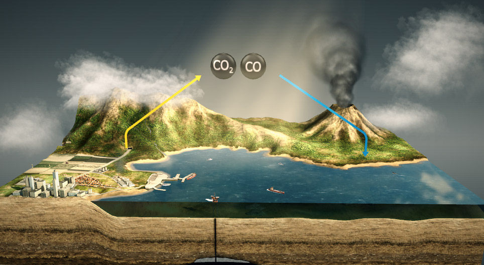 Ciclo del carbonio