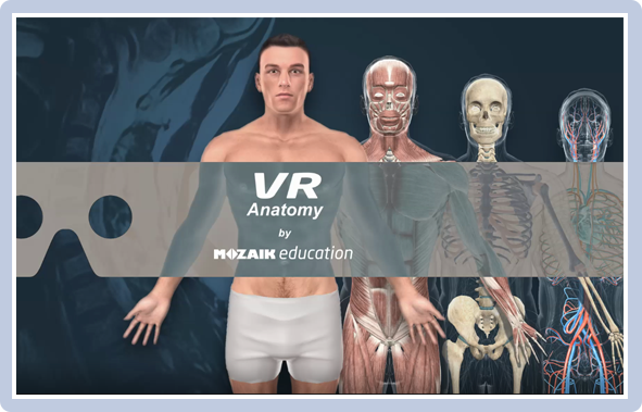 3D解剖学アトラス