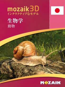 Book MS-9501-JA