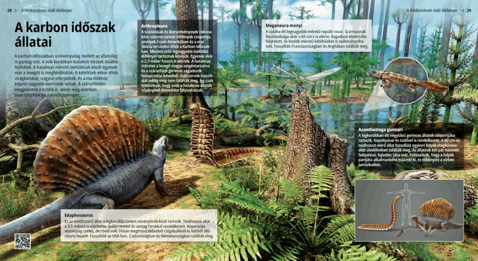 Carboniferous Fauna