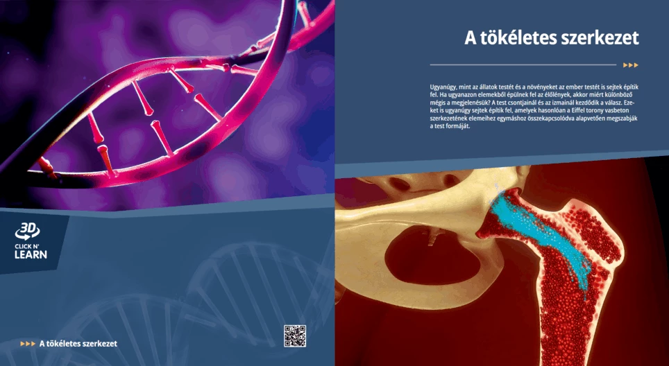 The Perfect Mechanism