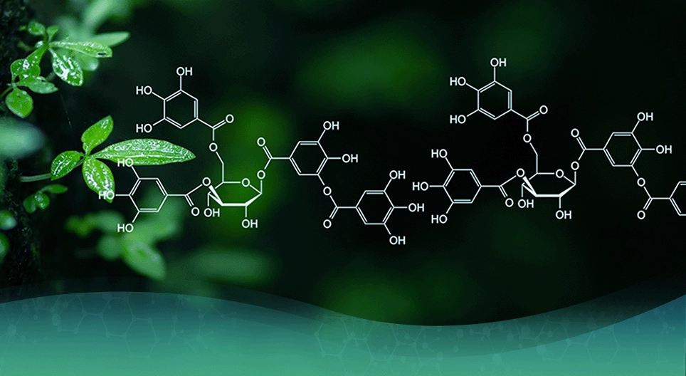 有機化学はどのように発展したのでしょうか。