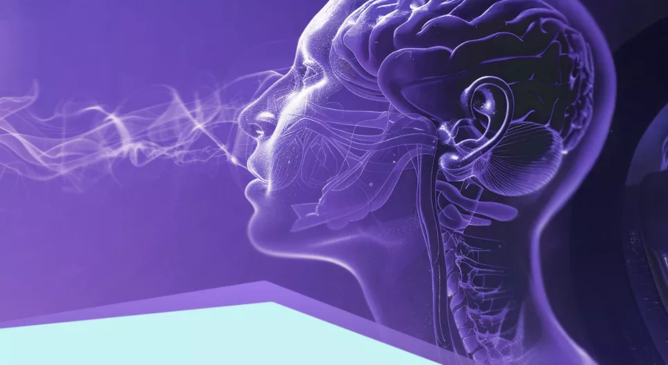 センサーと受容体