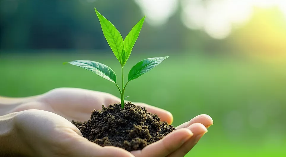 生命の境界はどこにありますか？