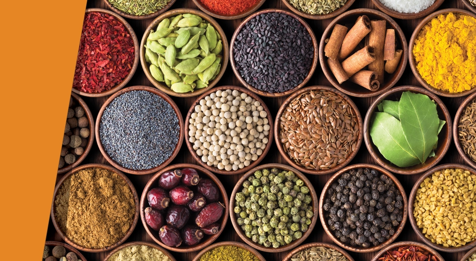 舌の上に広がる千の味わい