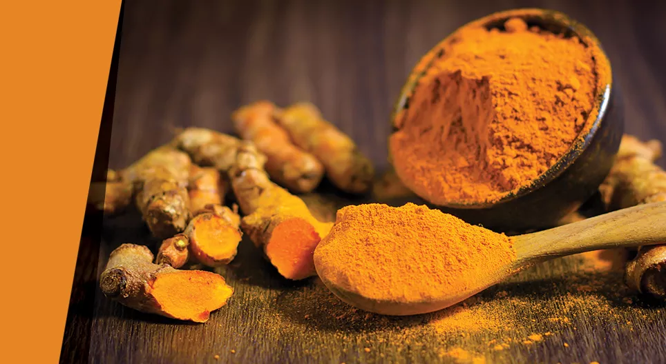 シャイペイント