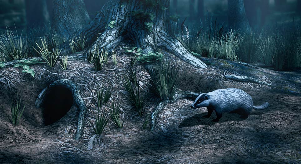 ヨーロッパアナグマ